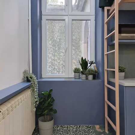 Apartment Maxim *
